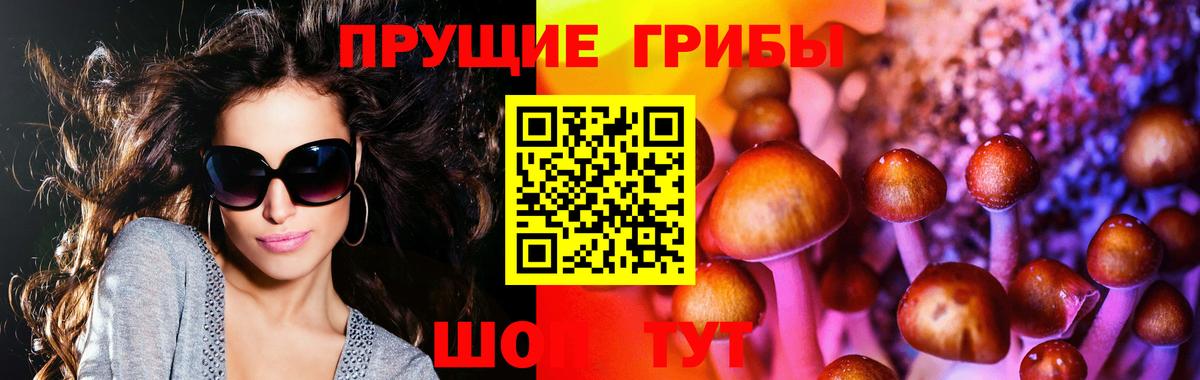Лениногорск  Галлюциногенные грибы Cubensis  Вход с VPN  Галлюциногенные грибы Magic Shrooms 